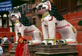 Similar image
