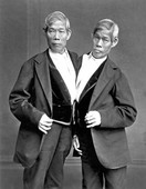 Similar image