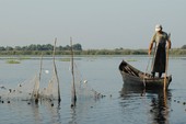 Similar image