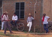 Similar image