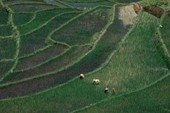 Similar image
