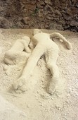 Similar image