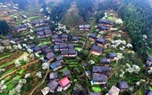 Similar image
