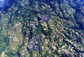 Similar image