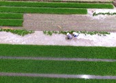 Similar image