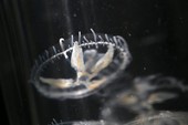 Similar image