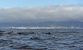 Similar image