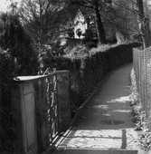 Similar image