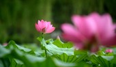 Similar image