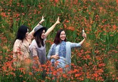 Similar image
