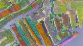 Similar image