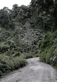 Similar image