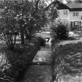 Similar image