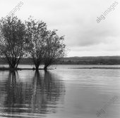 Similar image