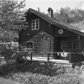 Similar image
