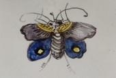 Similar image