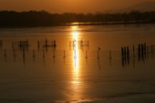 Similar image