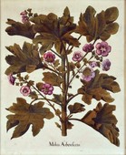 Similar image