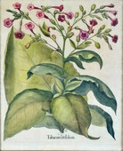 Similar image