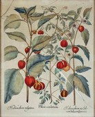 Similar image