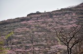 Similar image