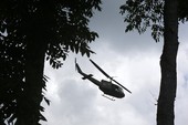 Similar image