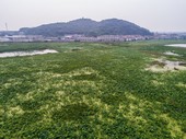 Similar image