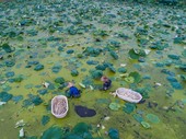 Similar image