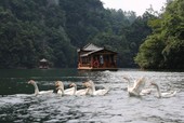 Similar image