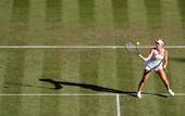 Similar image