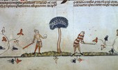 Similar image