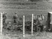 Similar image