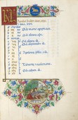 Similar image