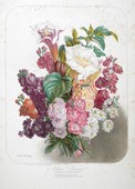 Similar image