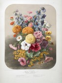 Similar image