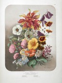Similar image