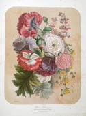 Similar image