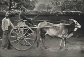Similar image