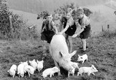 Similar image