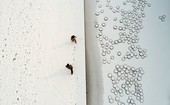 Similar image