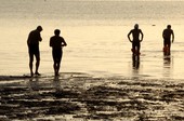 Similar image