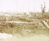 Similar image