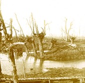 Similar image