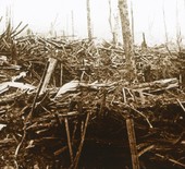 Similar image