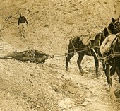 Similar image