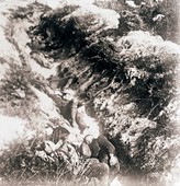 Similar image