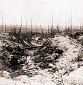 Similar image