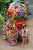 Similar image