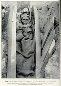 Similar image