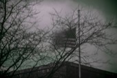 Similar image